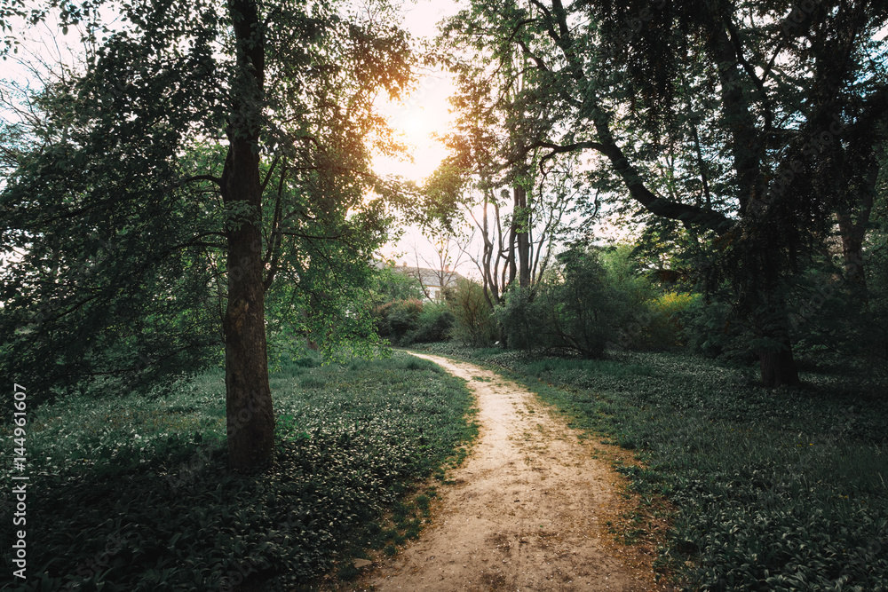 Fototapeta premium Path in the park