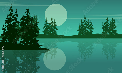 Beauty scenery lake with spruce silhouettes