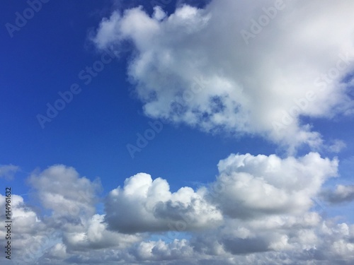 Cumuluswolken am blauen Himmel