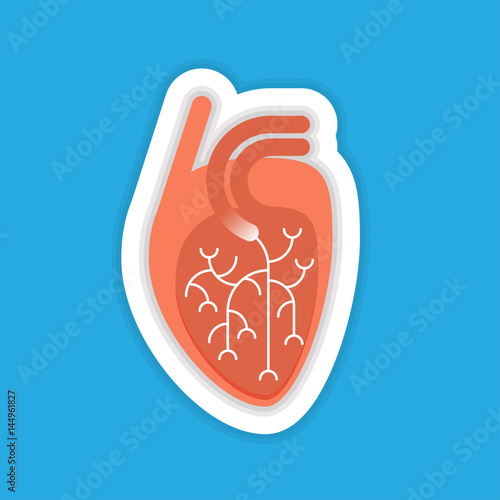 Human heart flat illustration