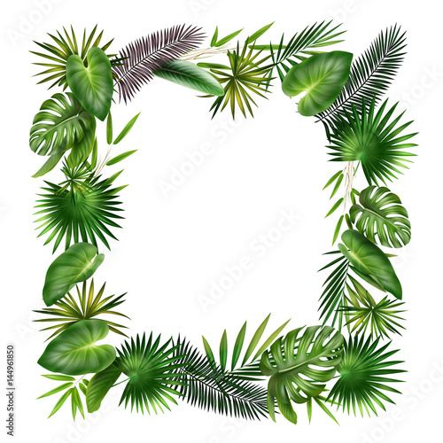 Frame from tropical leaves
