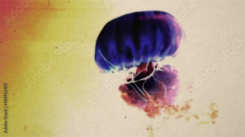 jellyfish_big_nega_rainbow_oneshot
