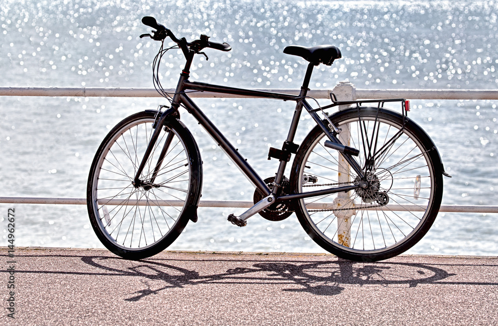 A man's bicycle propped against railings on the seafront with bright sun-dappled sea in the background.