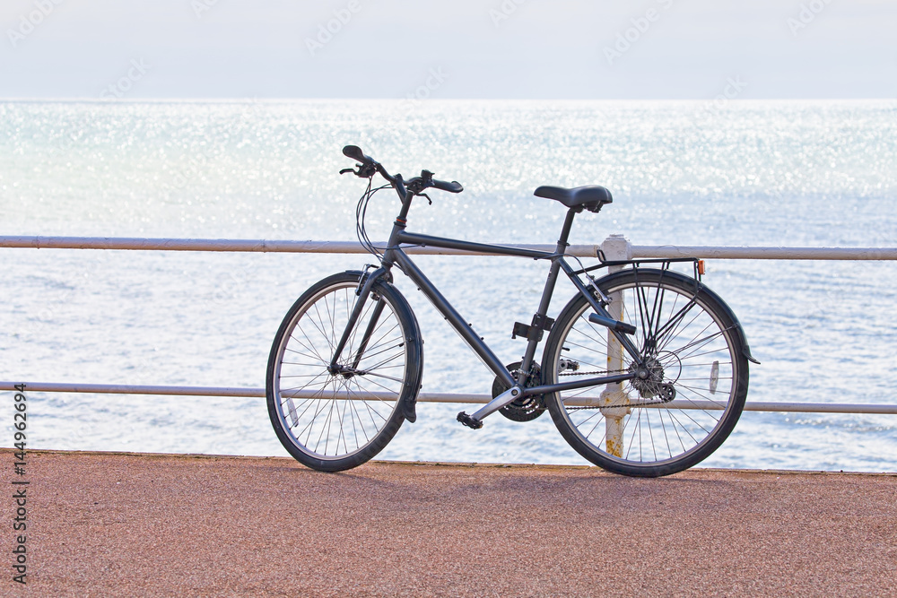 A man's bicycle propped against railings on the seafront with bright sea in the background.