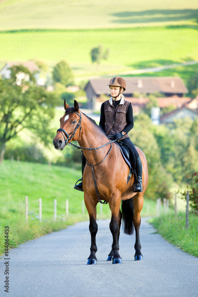 Young woman rides a horse in summertime. Horseback riding. Rider with horse standing on farm background. Young woman rides a horse in summertime. Horseback riding. Rider with horse standing on farm background.