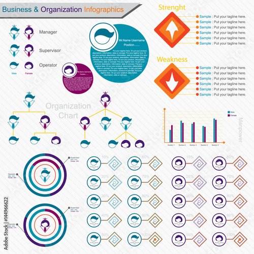 Infographics Business And Organization Chart - Vector