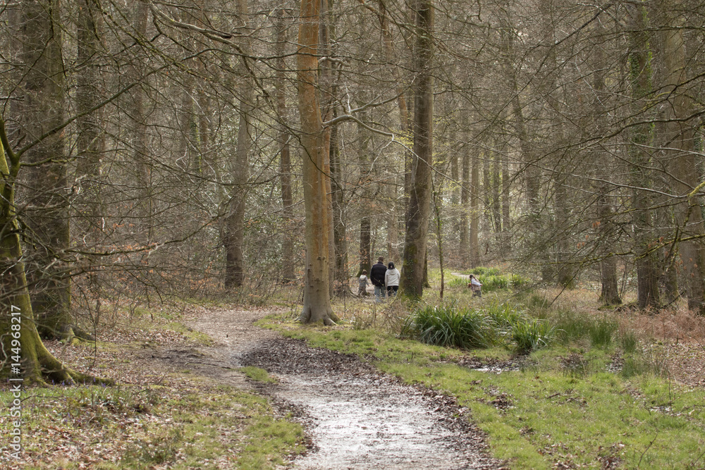 Fototapeta premium Family walking in the woods