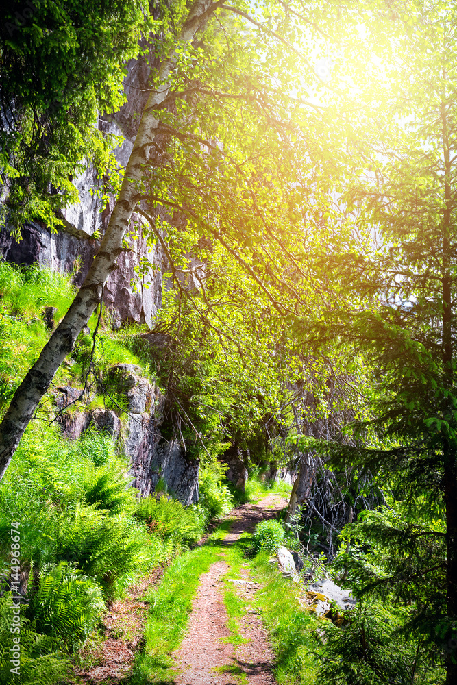 Obraz premium Tough High Mountain Road