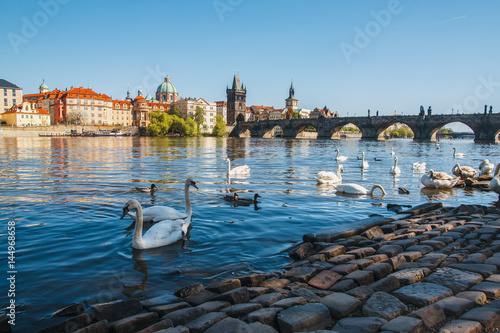 Prague. Image of Charles Bridge in Prague with swans in the foreground.
