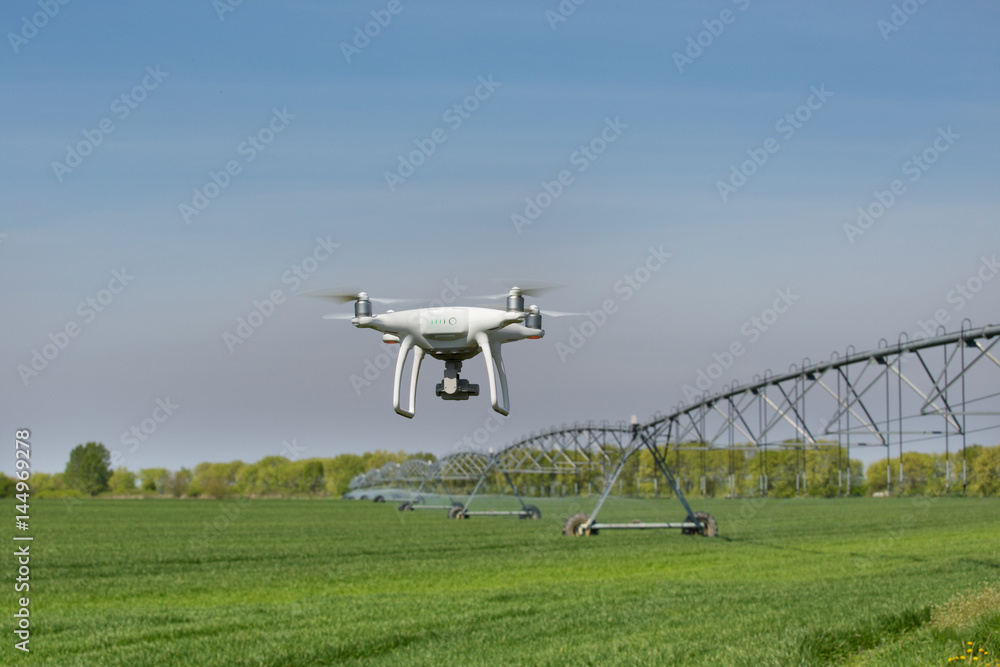 Drone flying above wheat field Drone flying above wheat field