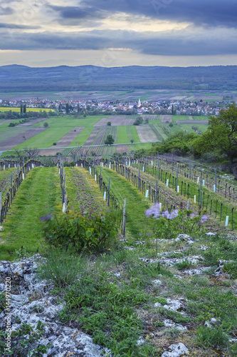 Landschaft am Abend bei Ort im Burgenland