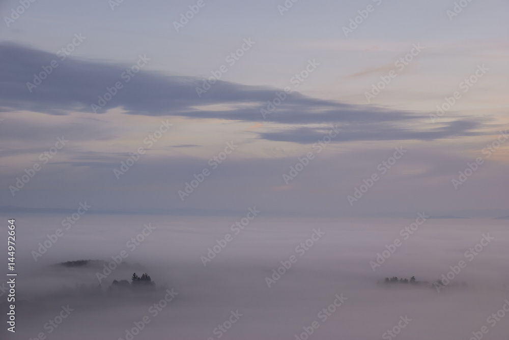 Fir tree tips rising above the thick early morning mist above Brasov in Romania Fir tree tips rising above the thick early morning mist above Brasov in Romania