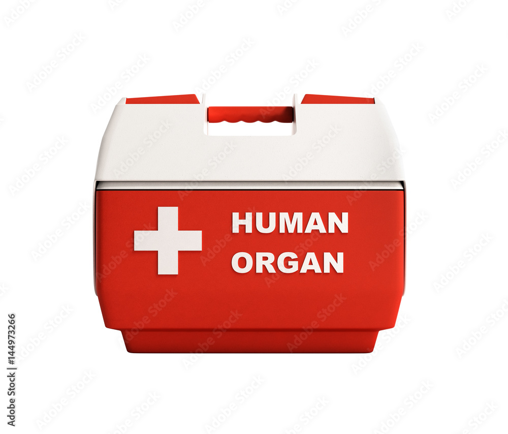 closed human organ refrigerator box red 3d render no shadow closed human organ refrigerator box red 3d render no shadow