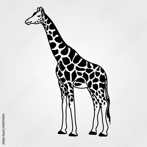 Giraffe icon isolated on white background.