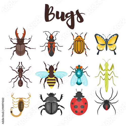 Vector flat style set of various colorful bugs. 