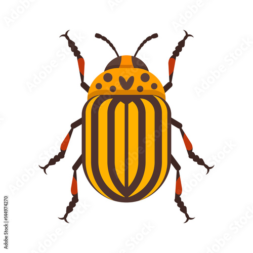 Vector flat style illustration of Colorado beetle. © thruer