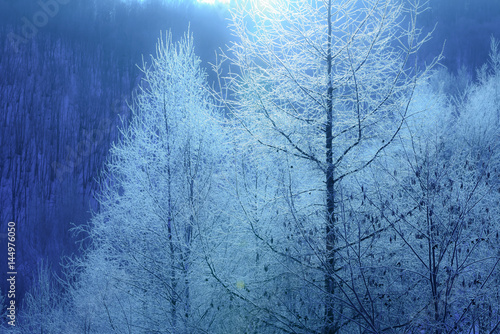 北海道、美瑛の樹氷