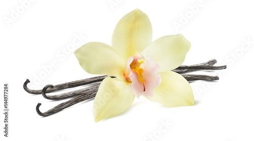 Vanilla bean flower isolated on white background