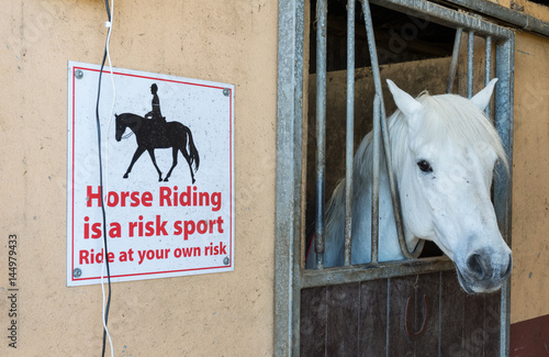 Fototapeta Naklejka Na Ścianę i Meble -  White Horse looking out behind stable door metal bars with horse riding caution sign on wall