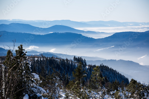 Fototapeta Naklejka Na Ścianę i Meble -  Winterlandschaft Hochschwarzwald