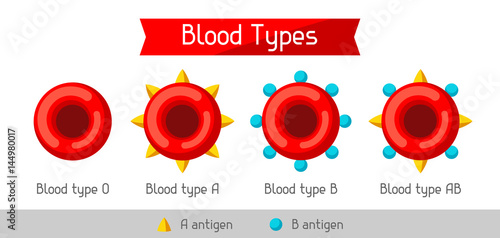 Set of blood cells types. Medical and healthcare infographic
