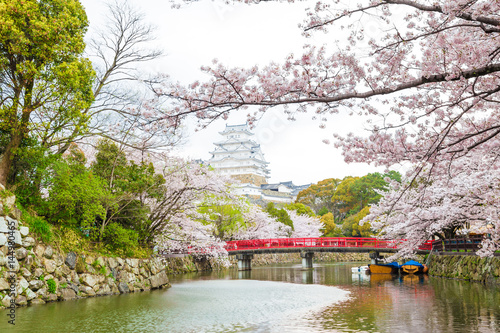 Himeji Castle with Red Bridge While Cherrry Blossoms Viewing Festival