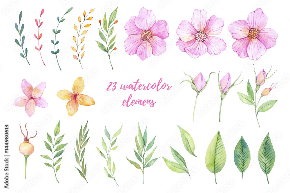 Watercolor illustrations. Pink flowers, ppring leaves and branches. Floral design elements. Perfect for wedding invitations, greeting cards, blogs, prints, logos and more