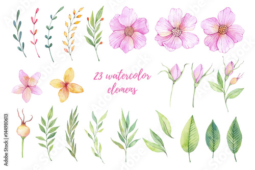Watercolor illustrations. Pink flowers  ppring leaves and branches. Floral design elements. Perfect for wedding invitations  greeting cards  blogs  prints  logos and more