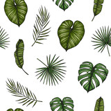 Tropical seamless pattern. Background with palm leaves (monstera, areca palm, fan palm, banana leaves). Hand drawn vector illustration. Perfect for prints, posters, invitations, textile, packing etc