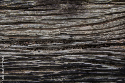 Wood plank brown texture background. Old wooden texture. Wood pattern Background
