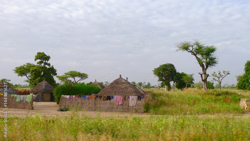 Rural Senegal