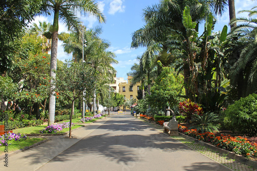 Parque García Sanabria, Santa Cruz de Tenerife 