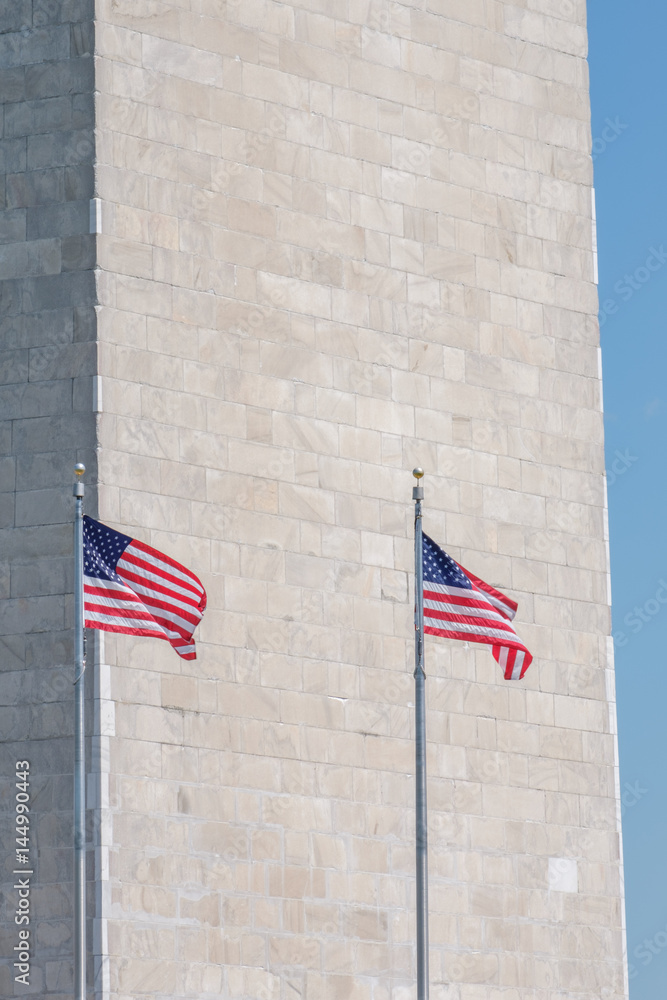 Portrait of Two Flags and the Washington Monument