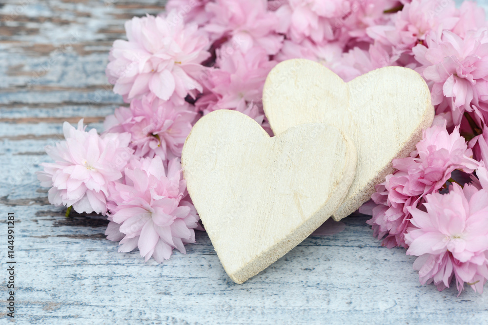 cherry flowers with white heart on wood cherry flowers with white heart on wood