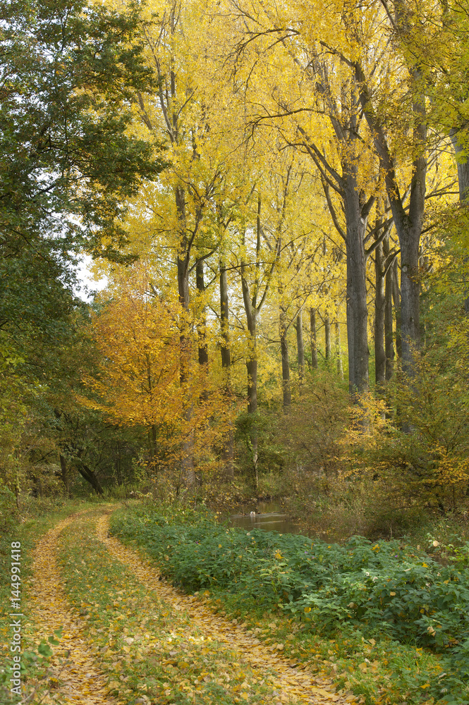Herbst in Lippstadt Lipperbruch Herbst in Lippstadt Lipperbruch