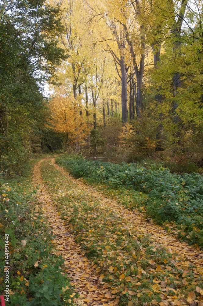 Herbst in Lippstadt Lipperbruch