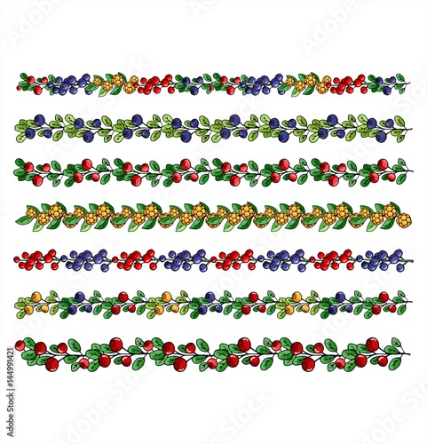 Fruits design set. Berry borders, hand drawn illustration