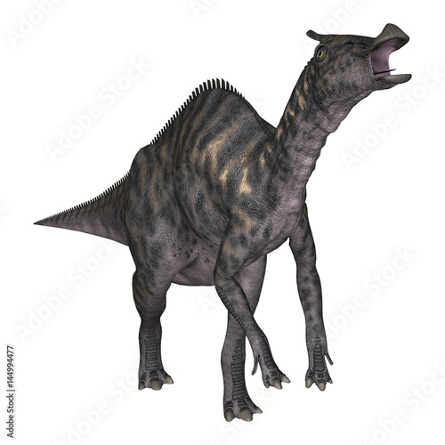 3D Rendering Dinosaur Saurolophus on White photo