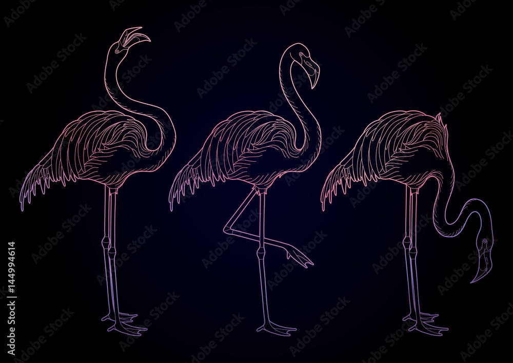 Obraz premium Cute graphic flamingo