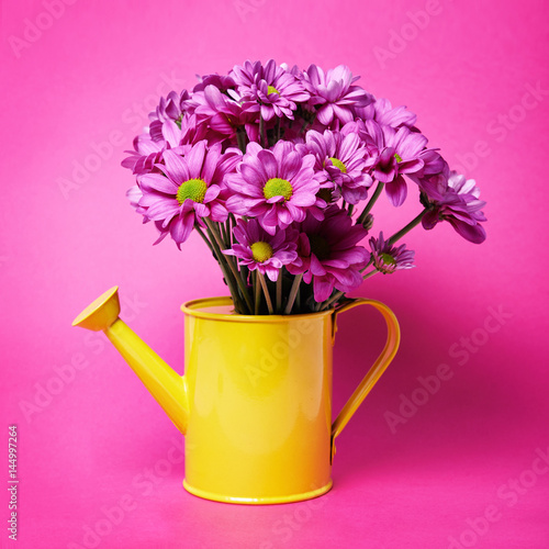 pink flowers in yellow can
