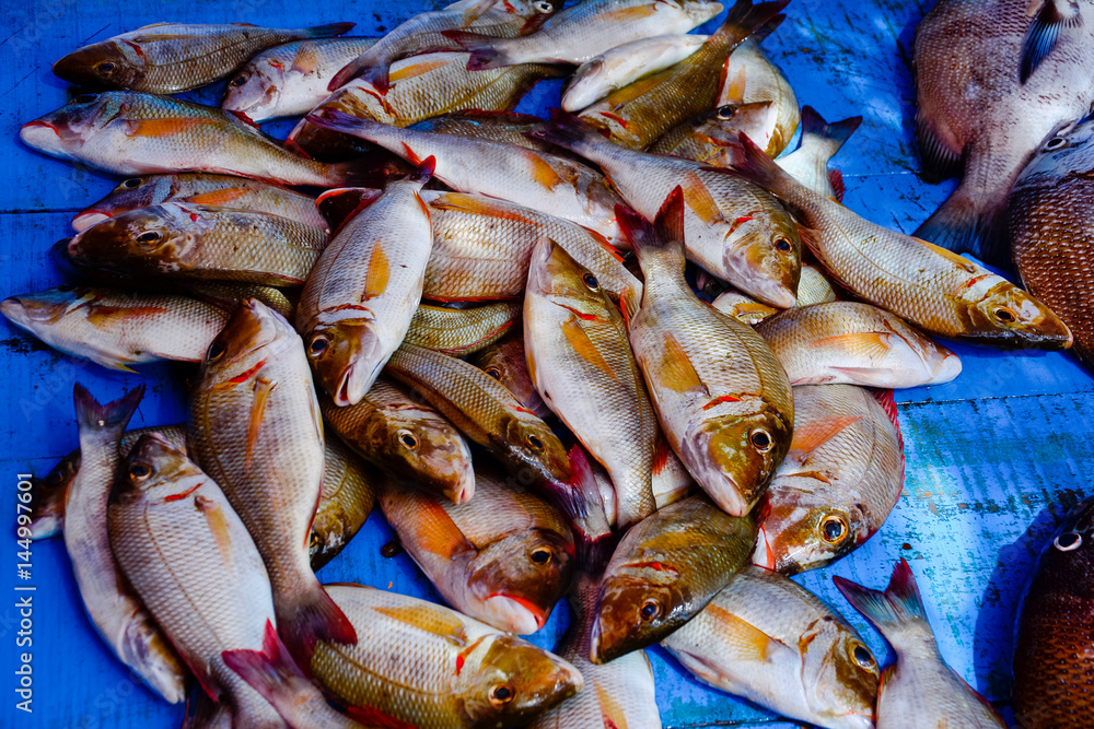 Obraz premium Fisheries Activities And Fish Market In Negombo, Sri Lanka. Negombo Is Known For Its Centuries Old Fishing Industry With Busy Fish Markets And Long Sandy Beaches