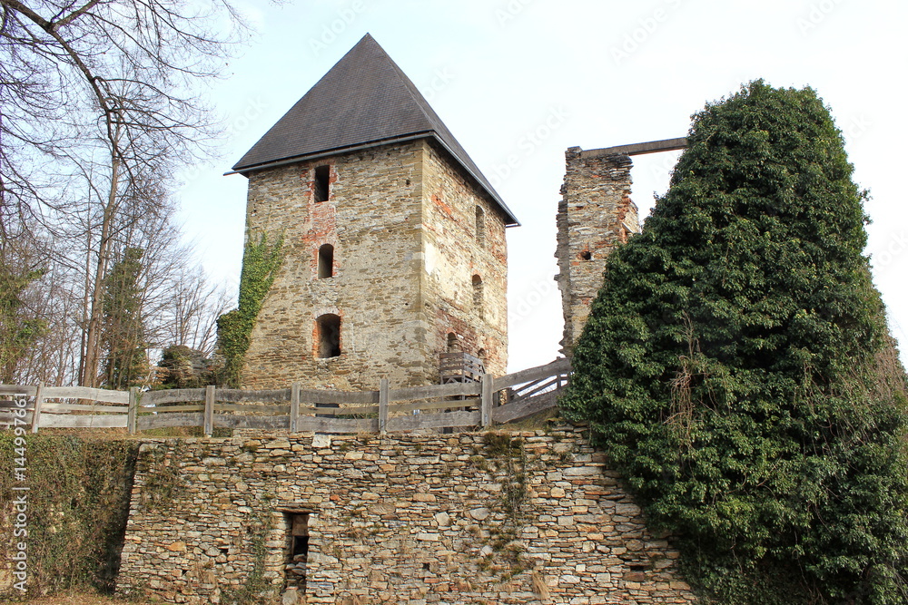Blick auf die Burg Ligist in der Steiermark