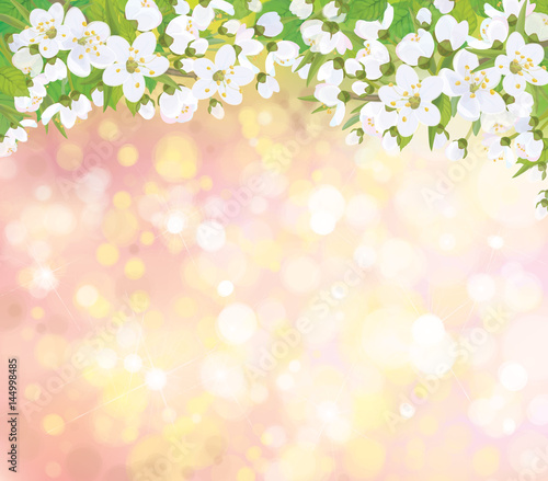 Fototapeta Naklejka Na Ścianę i Meble -  Vector blossoming branches of  tree, spring background.