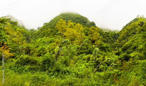 Fototapeta Naklejka Na Ścianę i Meble -  View of the green hills and jungle