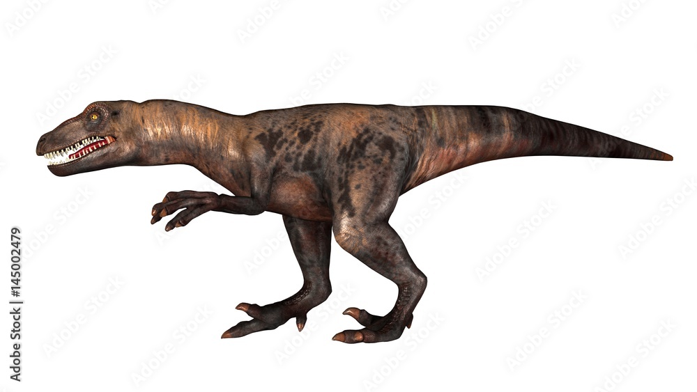 Raptor Velociraptor dinosours - isolated on white background Raptor Velociraptor dinosours - isolated on white background