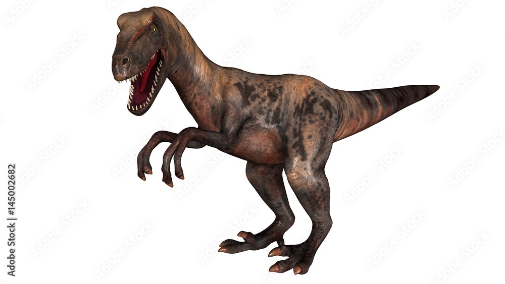 Raptor Velociraptor dinosours - isolated on white background Raptor Velociraptor dinosours - isolated on white background
