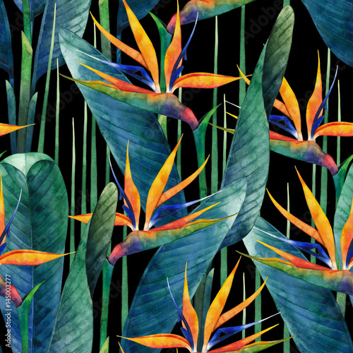 Watercolor strelitzia pattern photo