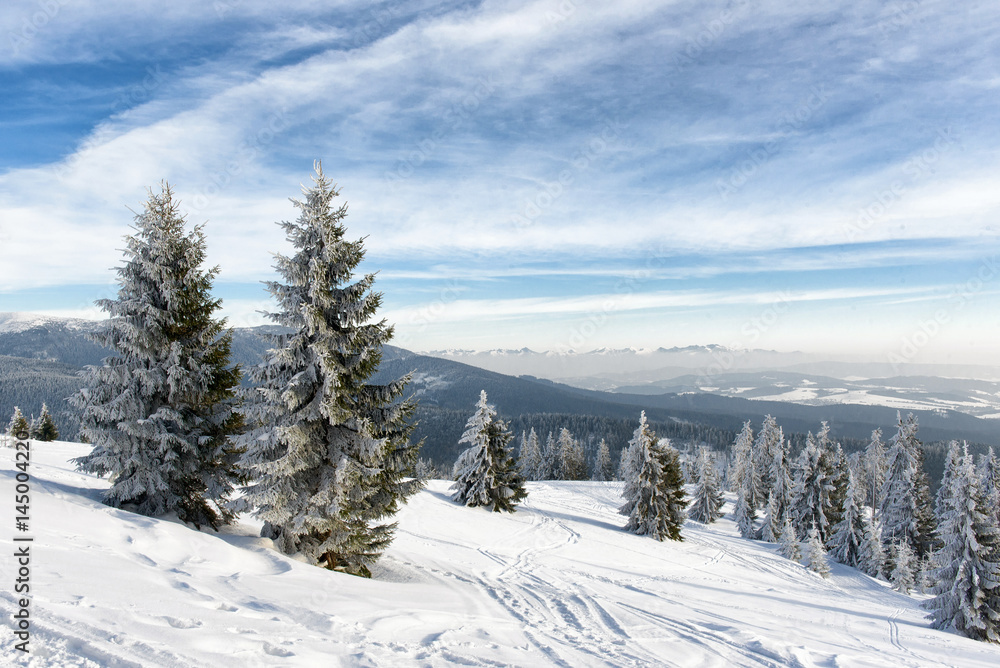Fototapeta premium Piękna zima w polskich górach. Cisza, harmonia, spokój i piękny widok na górę Pilsko i Tatry.