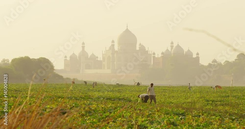 Kakri (Indian Cucumber), and Ghiya (Bottle Gourd) farmers work with the Taj Mahal photo