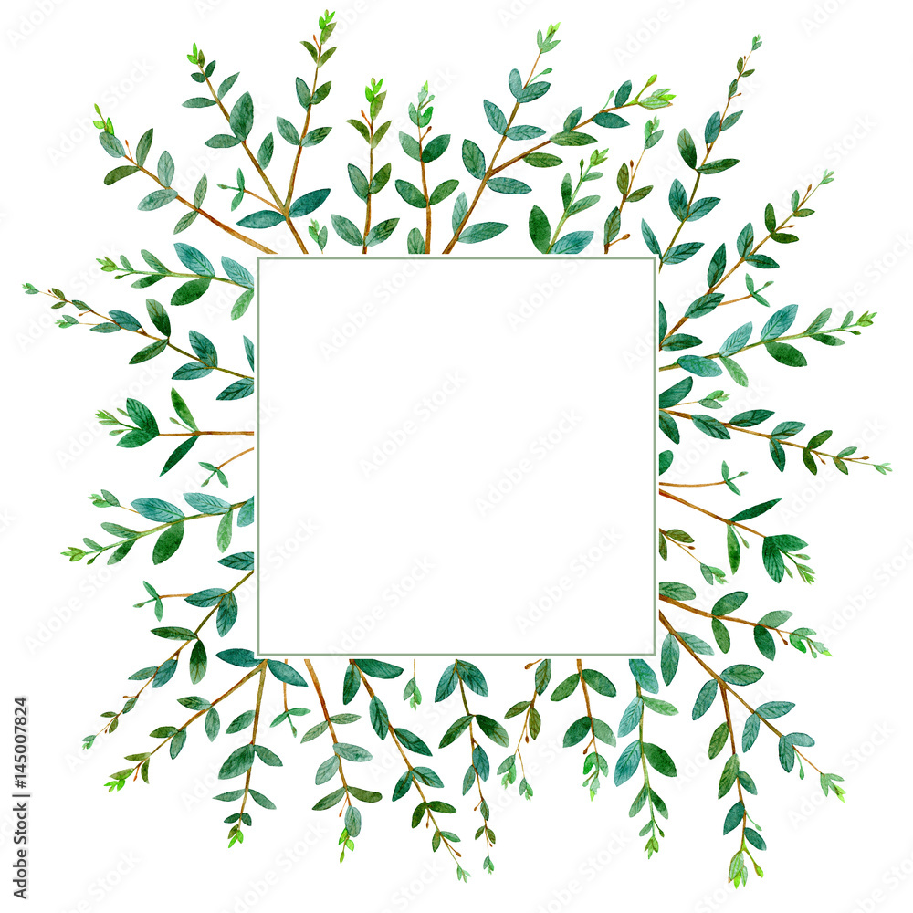 Floral square wreath.Garland of a eucalyptus branches.Frame of a herbs.Watercolor hand drawn illustration.It can be used for greeting cards, posters, wedding cards.